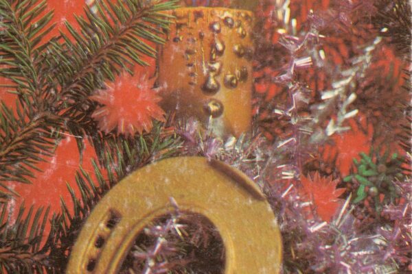 С наступающим Новым годом !